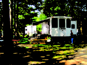 3 camper in trees