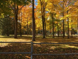 Fall Campground